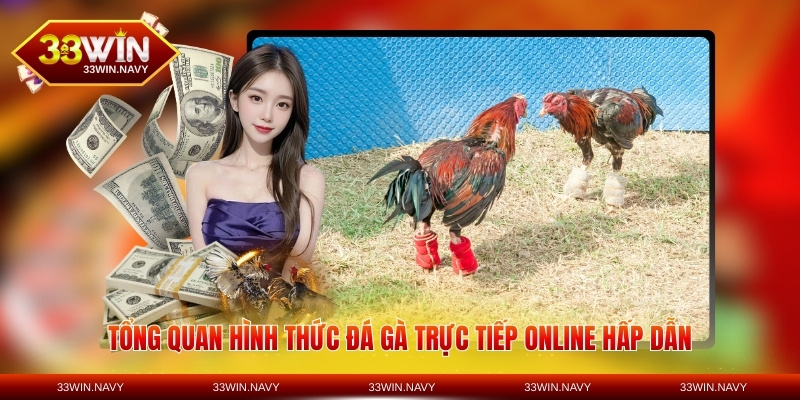 Tổng quan hình thức đá gà trực tiếp online hấp dẫn