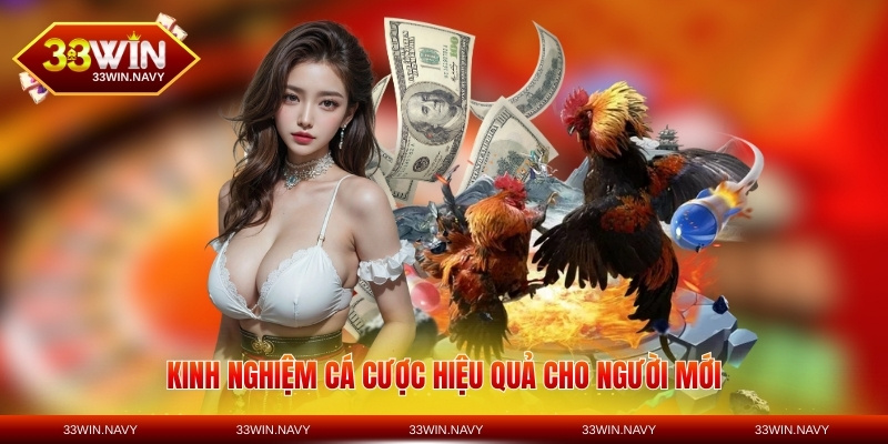 Kinh nghiệm cá cược hiệu quả cho người mới